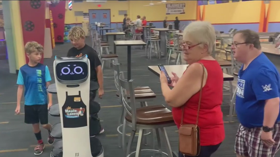 Bowling alley robot